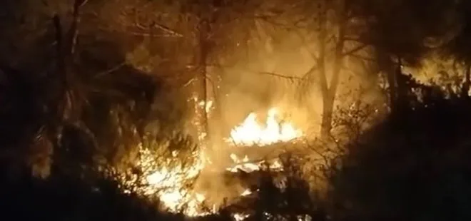 İstanbul Çekmeköy’de orman yangını