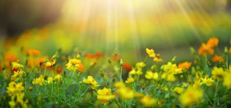 İlk cemre ne zaman düşecek? 2022 cemre havaya ne zaman düşer? Yaz ne zaman başlıyor? Havalar ne zaman ısınacak?