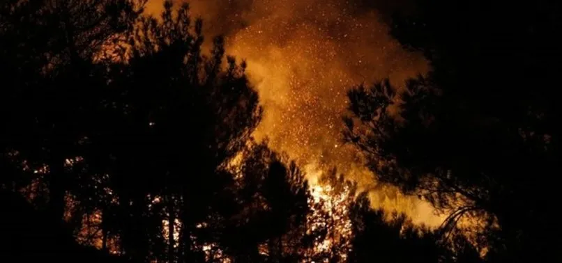 Son dakika: Hatay'da 25 farklı noktada orman yangını