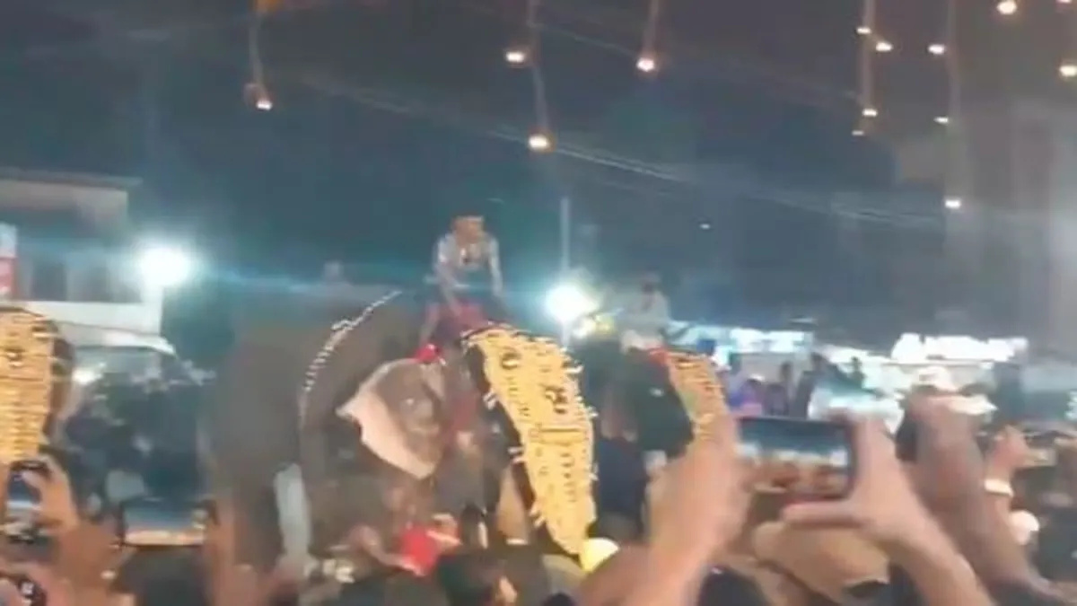 Kerala Festivali’nde fil dehşeti: 17 yaralı