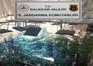 45 ilde Narko Pars operasyonu!