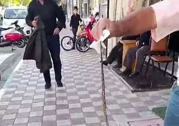 Kahvehanede yılan paniği! Korku dolu anlar