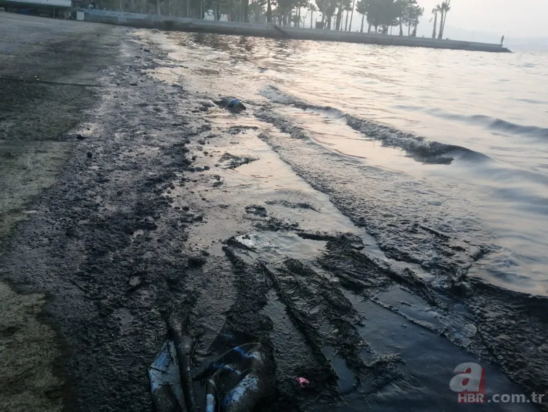 İzmir'de denize petrol türevi atıklar sızdı 1