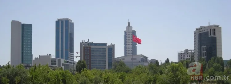İşte Türklerin soyağacı! Hangi il hangi boydan geliyor? 72