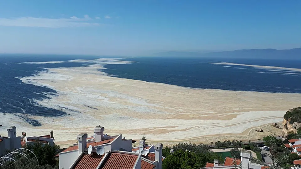 Marmara Denizi ölüyor! Uzmanlardan kritik uyarı: Acilen tedbir alınmalı
