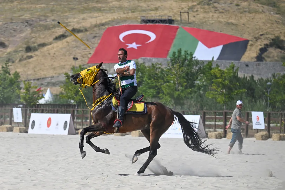 1787652385174.jpg Ahlat'ta 955 yıllık gurur: Halk alana akın etti! Gözler Başkan Erdoğan'da - 7