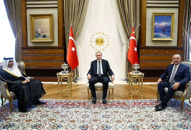 Erdoğan, Katar Dışişleri Bakanı El Sani'yi kabul etti - 1