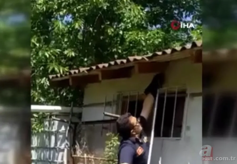 Kastamonu’da itfaiye ekiplerinin 2 metrelik yılanla imtihanı kamerada🐍 7