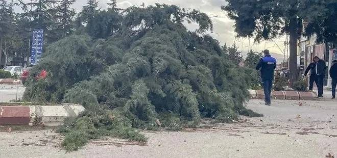 Amasya’da kuvvetli rüzgar çatıları uçurdu, ağaçları devirdi