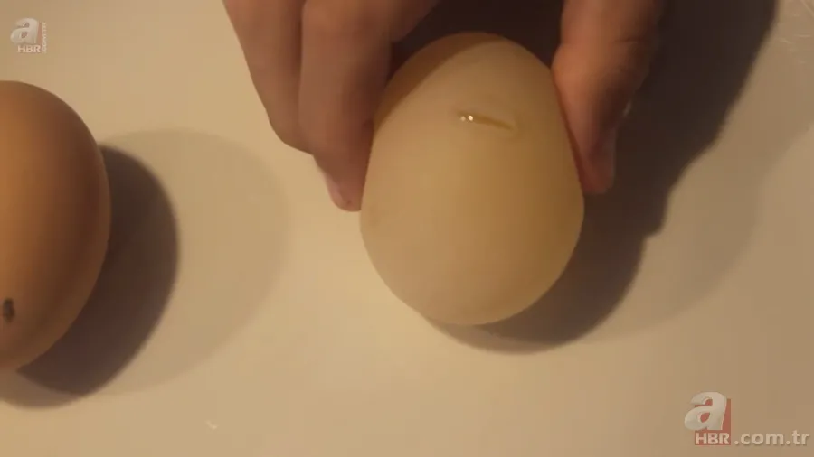 Beslediği tavuğun yumurtasını almak için kümese girdi! Yumurtayı eline alınca gözlerine inanamadı 24