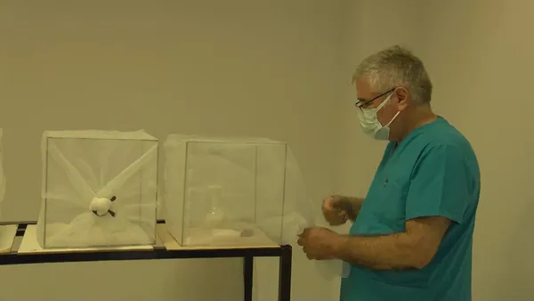 CHP’li İBB sivrisinekle mücadeleyi de beceremedi! İstanbul Üniversitesi profesöründen İBB’ye tepki