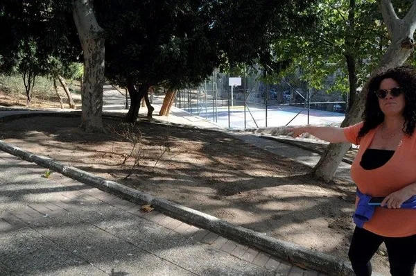 CHP’li Beşiktaş Belediyesi Abbasağa’da ağaç kıyımına devam ediyor!