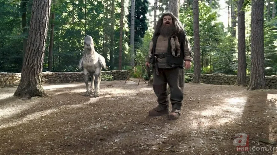 Harry Potter'ın yıldızı hayatını kaybetti 7