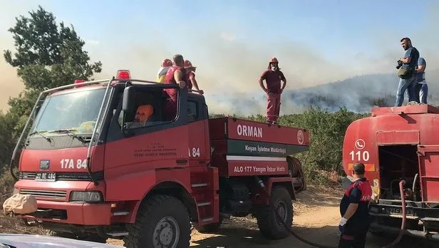 Keşan'da orman yangını! Bakan Pakdemirli: Yangın çok kuvvetle kontrol altında - 1