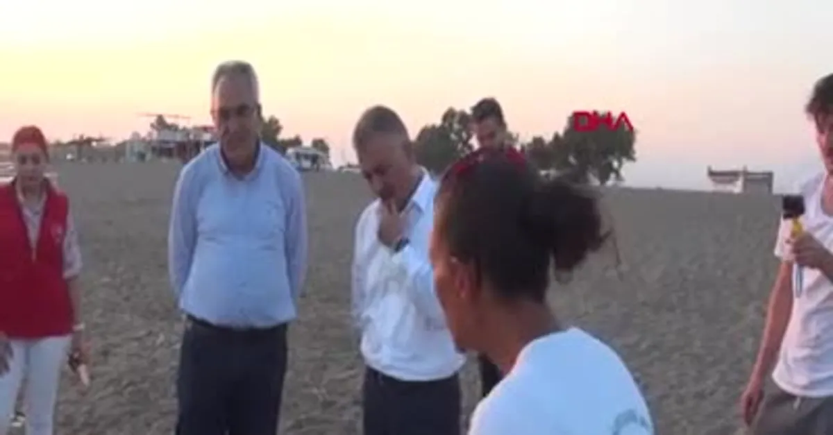 Antalya'da akılalmaz olay! Caretta carettaların yürek sızlatan ölümü