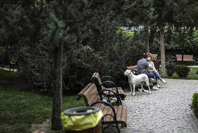 Uzman isimden umutlandıran sözler: Kurban Bayramı’nda kısıtlama olma ihtimalini çok düşük - 4