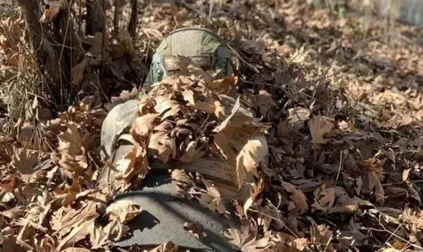 Son dakika | Mardin'de PKK'ya Eren Kış-33 operasyonu başlatıldı! 566 kişilik tim peşlerinde - 1