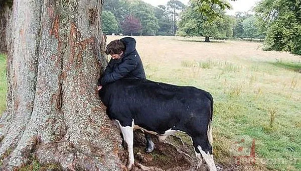 Onları görenler şaştı kaldı! 1