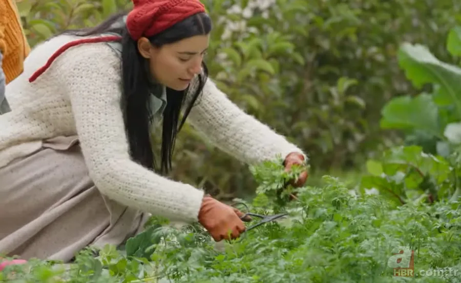 TRT Belgesel Benim Sakin Dünyam nerede çekiliyor, konusu ne? 5