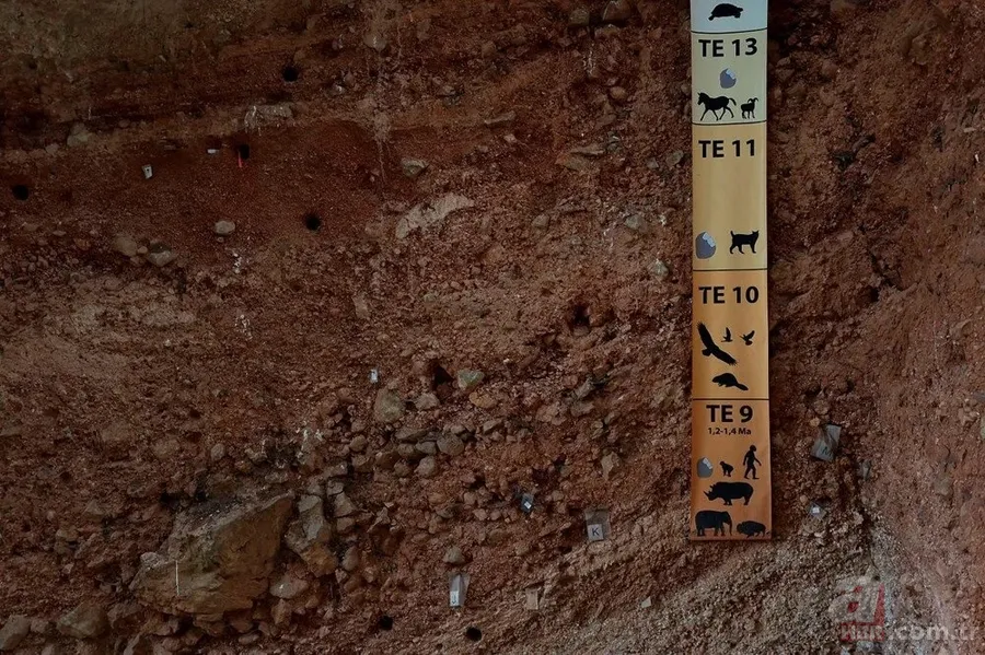 Dünya tarihini değiştirecek keşif! 1,4 milyon yaşında 17