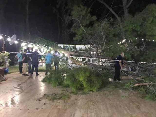 Antalya’da kır düğününde ağaç devrildi: 2’si ağır 10 kişi yaralandı