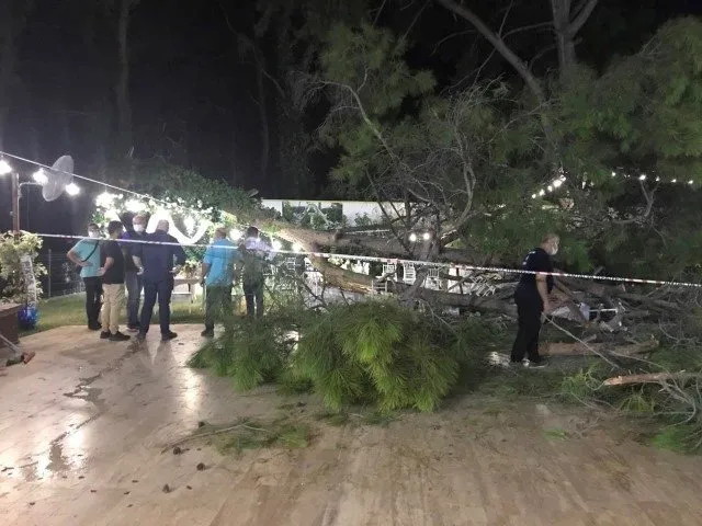 Antalya’da kır düğününde ağaç devrildi: 2’si ağır 10 kişi yaralandı