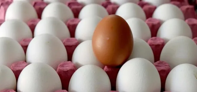 Yumurtanın toptan satışlarında KDV yüzde 1’e indirildi