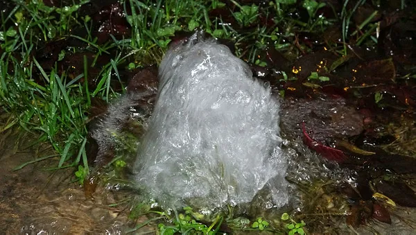 Türkiye kuraklık ile mücadele ederken CHP yağmurda çim suladı - 5