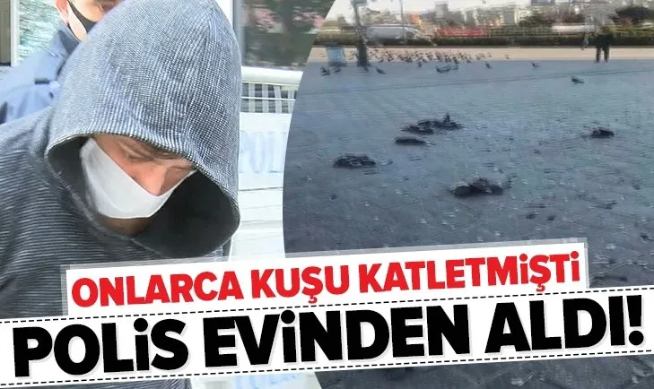 Eminönü’ndeki kuşları arabasıyla ezmişti! Adliyeye sevk edildi!