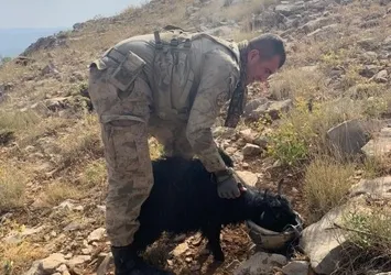 Mehmetçikten duygulandıran hareket