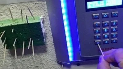 Koronavirüse kürdanla savaş açtı