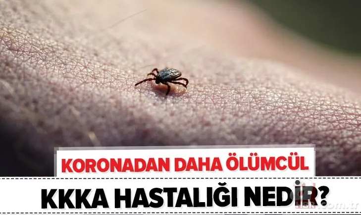 Hızla artıyor! Koronavirüsten daha ölümcül! Kırım Kongo Kanamalı Ateşi (KKKA) hastalığı nedir? Belirtileri neler? 1