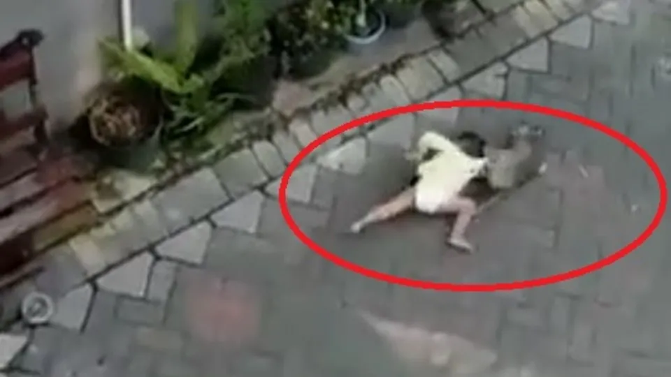 Akılalmaz görüntüler! Bisikletiyle gelen maymun çocuk kaçırmaya çalıştı |Video