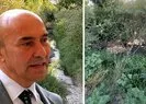 CHP’li Tunç Soyer yönetimindeki İzmir Büyükşehir Belediyesinden bir skandal daha! Turgut Köyü’nde şok görüntü...
