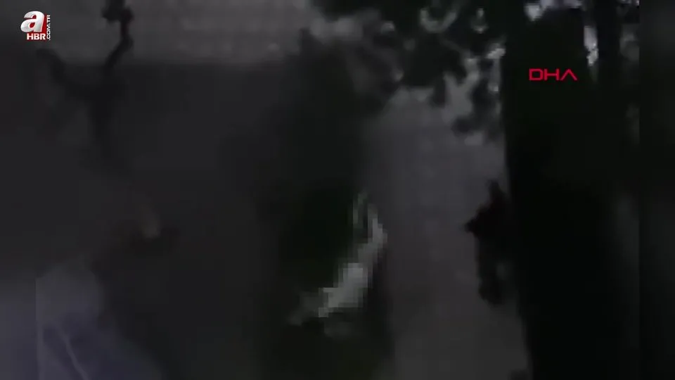 14’üncü kattan düşen Şeyma öldü
