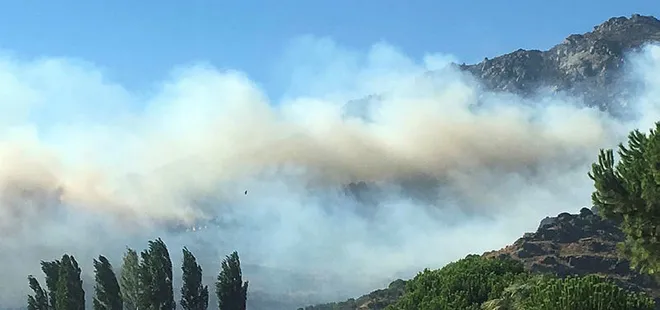 Balıkesir’de orman yangını
