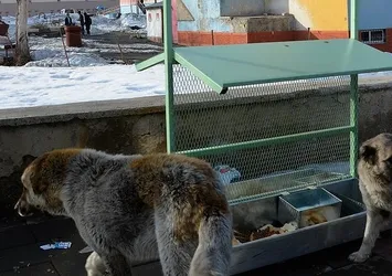 MASAK raporu 'mama lobisi'nin rantını ortaya koydu: Yılda 500 milyar TL