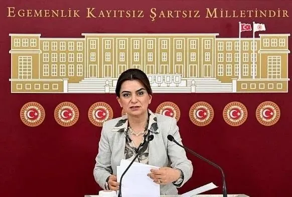 dem-parti-buyuksehirlerde-aday-cikarma-karari-aldi-1706978418849.jpeg DEM Parti büyükşehirlerde aday çıkarma kararı aldı - 5