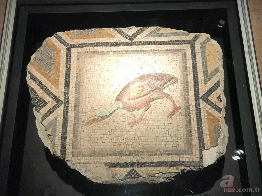 'Çingene Kızı'nın parçaları Gaziantep'te 15