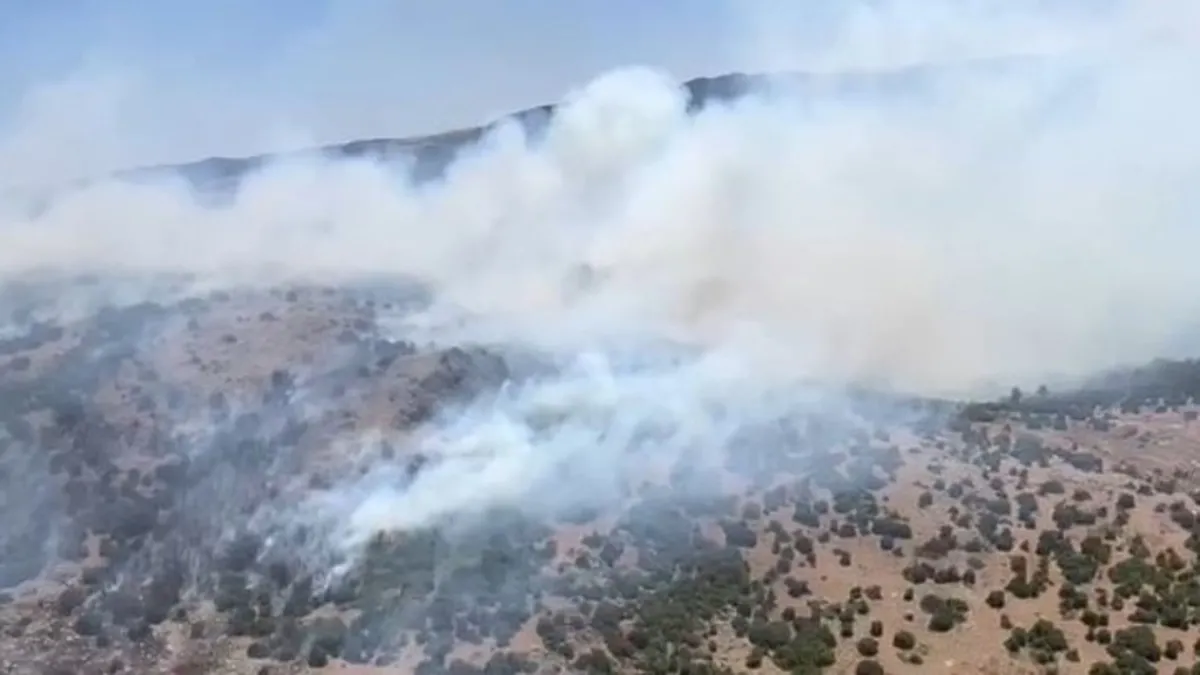 İki ilde orman yangını! Alevler kontrol altında
