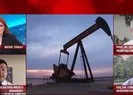 Türkiye 3 petrol kuyusu keşfetti