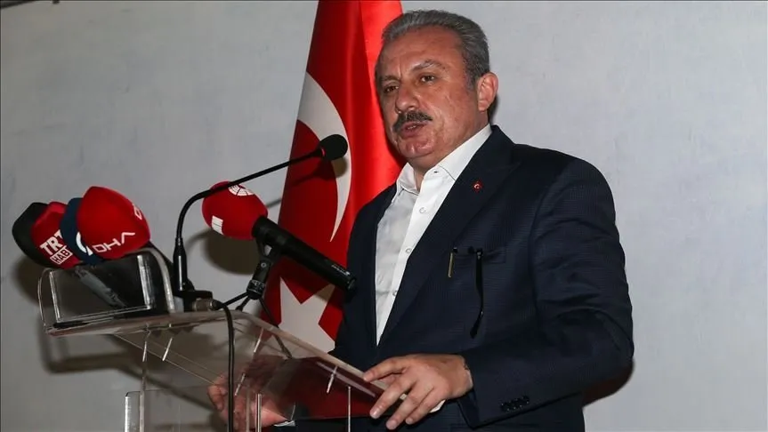 turkiye yeni dunya duzeninin kurucu