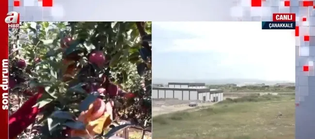 Çiftçileri sevindiren beyanname! 5 yılda 100 adet tarıma dayalı sanayi bölgesi kurulacak