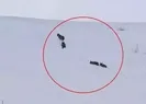 Karla kaplı arazide vaşak ile 3 yavrusu görüntülendi
