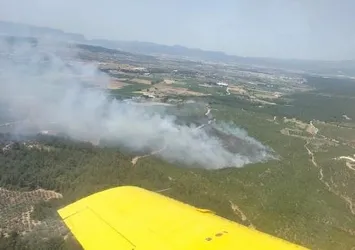 İzmir’de orman yangını! Kontrol altına alındı