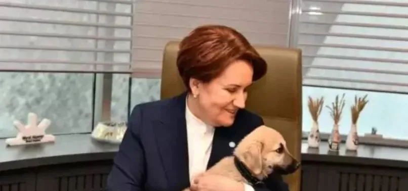 İYİ Parti Genel Başkanı Meral Akşener'in elini köpek ısırdı
