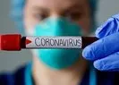 Koronavirüste son vaka sayısı açıklandı