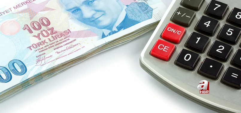 Aile Destek Programı ödemeleri yattı mı, ne zaman yatar? 450-660 TL arası ödeme! Aile Destek Programı başvuruları bitti mi?