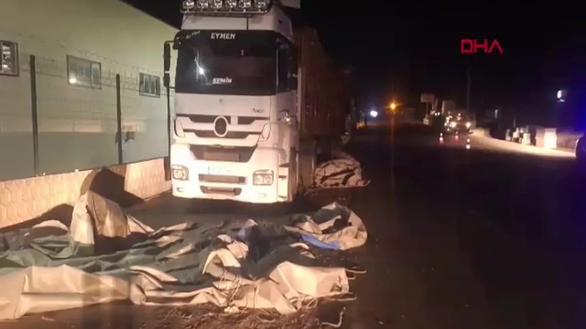 TIR'daki brandayı katlarken canından oldu