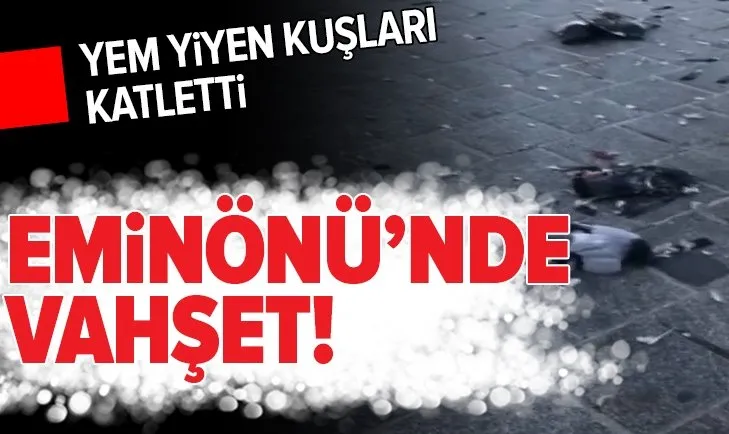 Dehşete düşüren görüntü! Eminönü Meydanı’ndaki kuşları arabasıyla ezdi